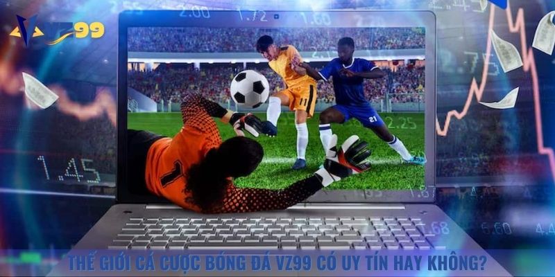 Nhà cái là đơn vị uy tín, hoạt động hợp pháp trên thị trường