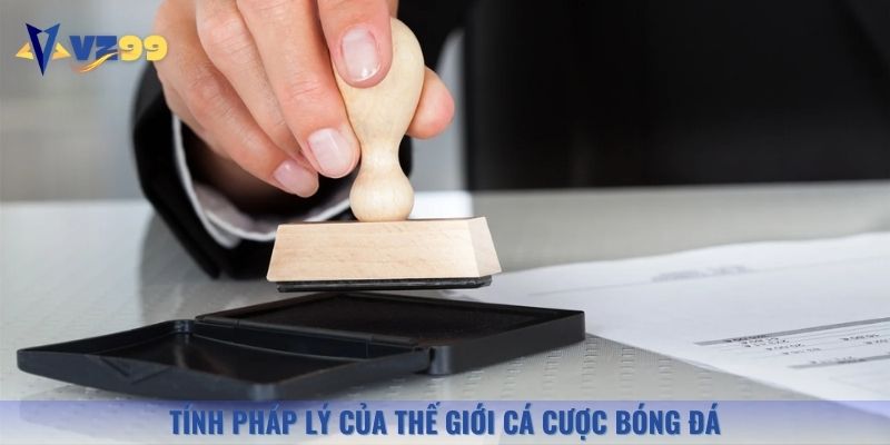 Đơn vị có đầy đủ giấy phép hoạt động được cấp bởi tổ chức uy tín